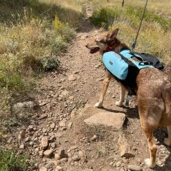 OllyDog Rover Dog Pack Bundle -Camp & Hike Deals Shop 299364fd d8fe 4823 ad96 6e80891d17a8