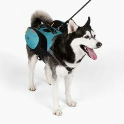 OllyDog Rover Dog Pack Bundle -Camp & Hike Deals Shop 31b5e4e0 0abe 4c18 a8d8 1c74c4c21342