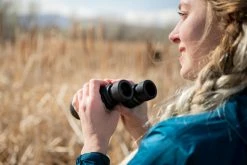 Nikon Prostaff P7 8 x 42 Binoculars -Camp & Hike Deals Shop 4497fce4 9197 483d 98f0 e2f3a7f6e973