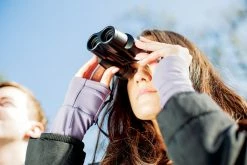 Nikon Sportstar Zoom 8-24 x 25 Binoculars -Camp & Hike Deals Shop 50207d73 d487 480c 878d 2373f4e79cfb