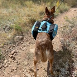 OllyDog Rover Dog Pack Bundle -Camp & Hike Deals Shop 51afab8f 57ed 4909 baf0 e1aeffbee968