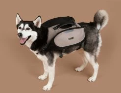 OllyDog Rover Dog Pack -Camp & Hike Deals Shop 8658ef51 078b 4c31 b139 a772d48ab687