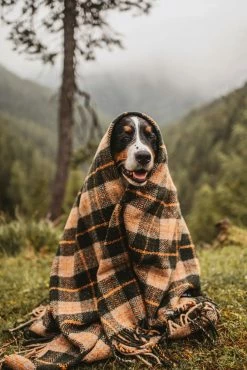 Sackcloth & Ashes Vintage Plaid Blanket -Camp & Hike Deals Shop 975e9e87 f7ec 482e 9e30 70d892927ae2