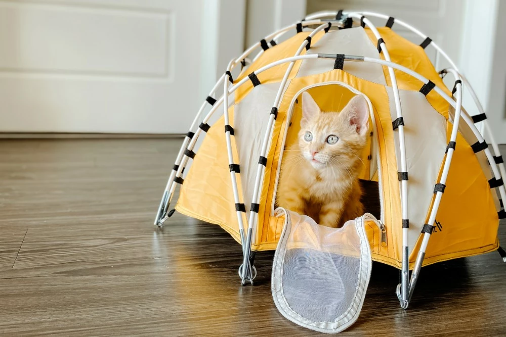 Tiny Tents Basecamp Dome Tent 6 Tiny Tents Basecamp Dome Tent - Image 6