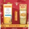 Burt's Bees Honey Pot Gift Set - None