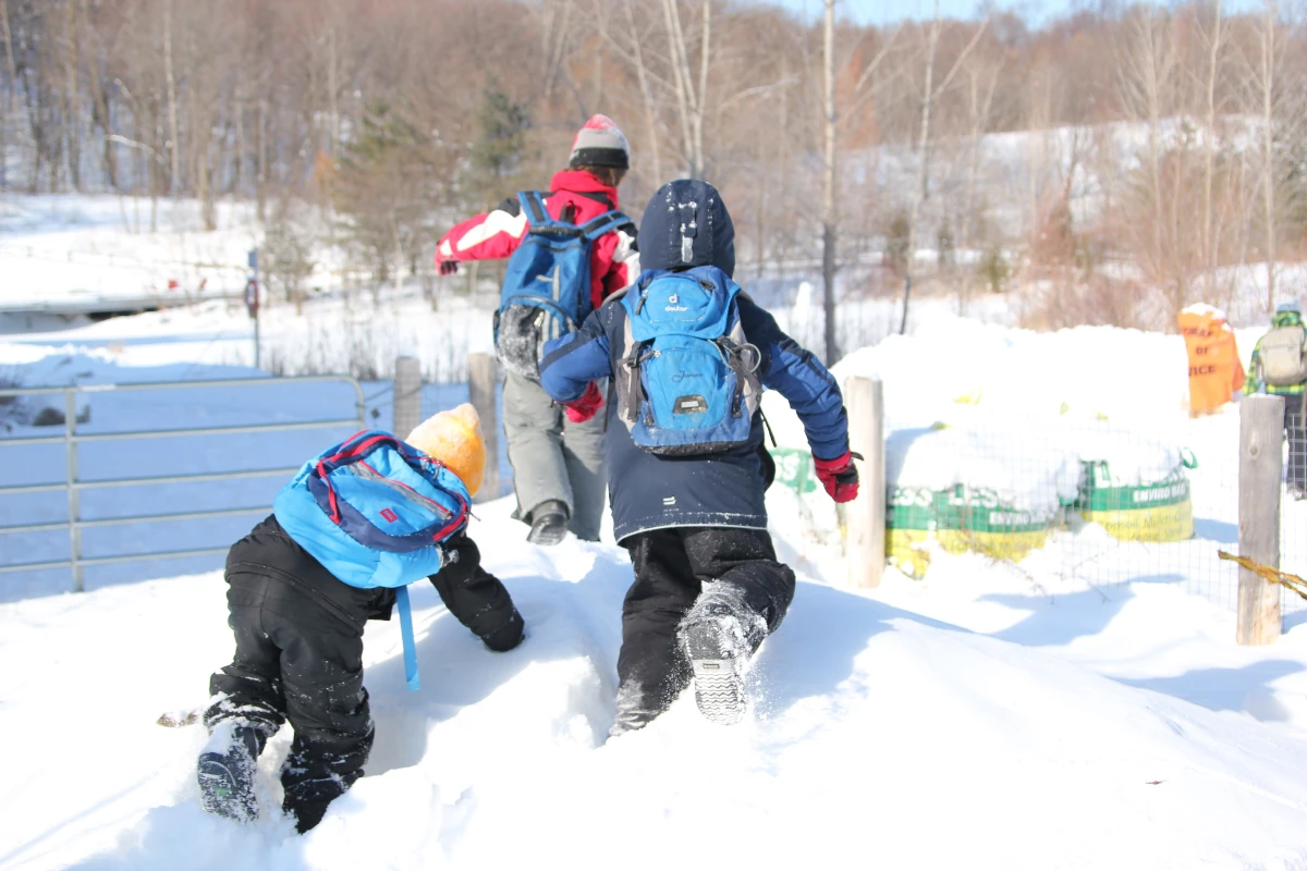 Camp & Hike Deals Shop -Camp & Hike Deals Shop life 1